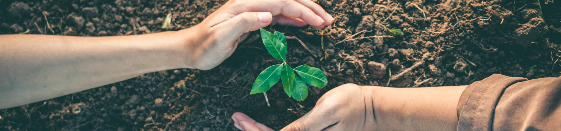 Consulenza ambientale sicurezza Brescia