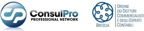 ConsulPro logo
